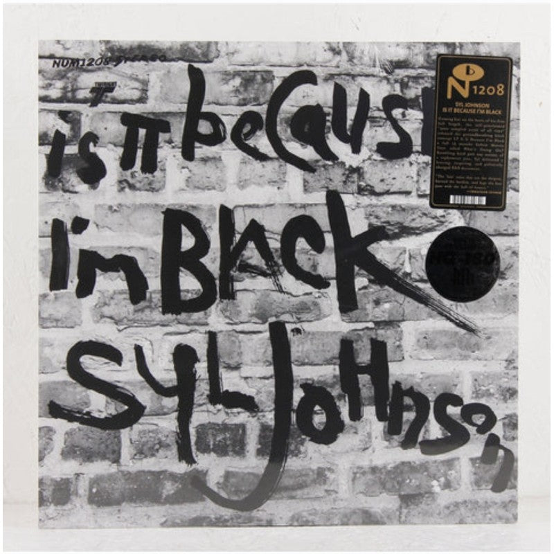 Syl Johnson - Is It Because I'm Black