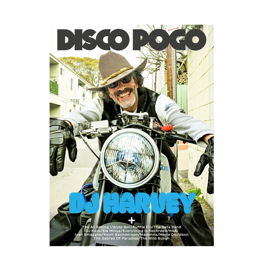 DISCO POGO - ISSUE 7 - DJ HARVEY