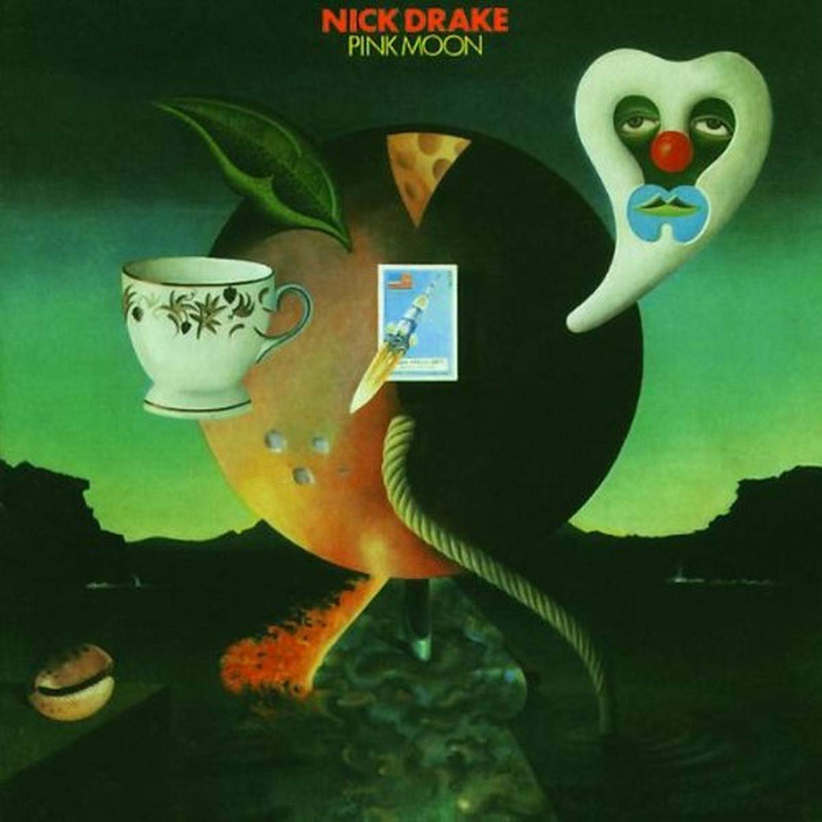 NICK DRAKE  pink moon