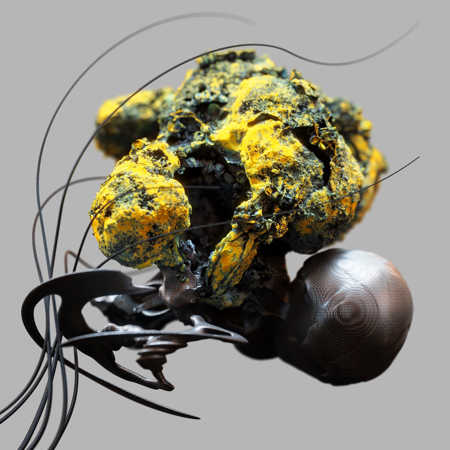 Ahmet Sisman - The Third Space