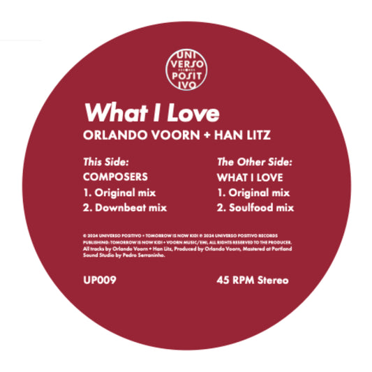 Orlando Voorn & Han Litz - What I Love