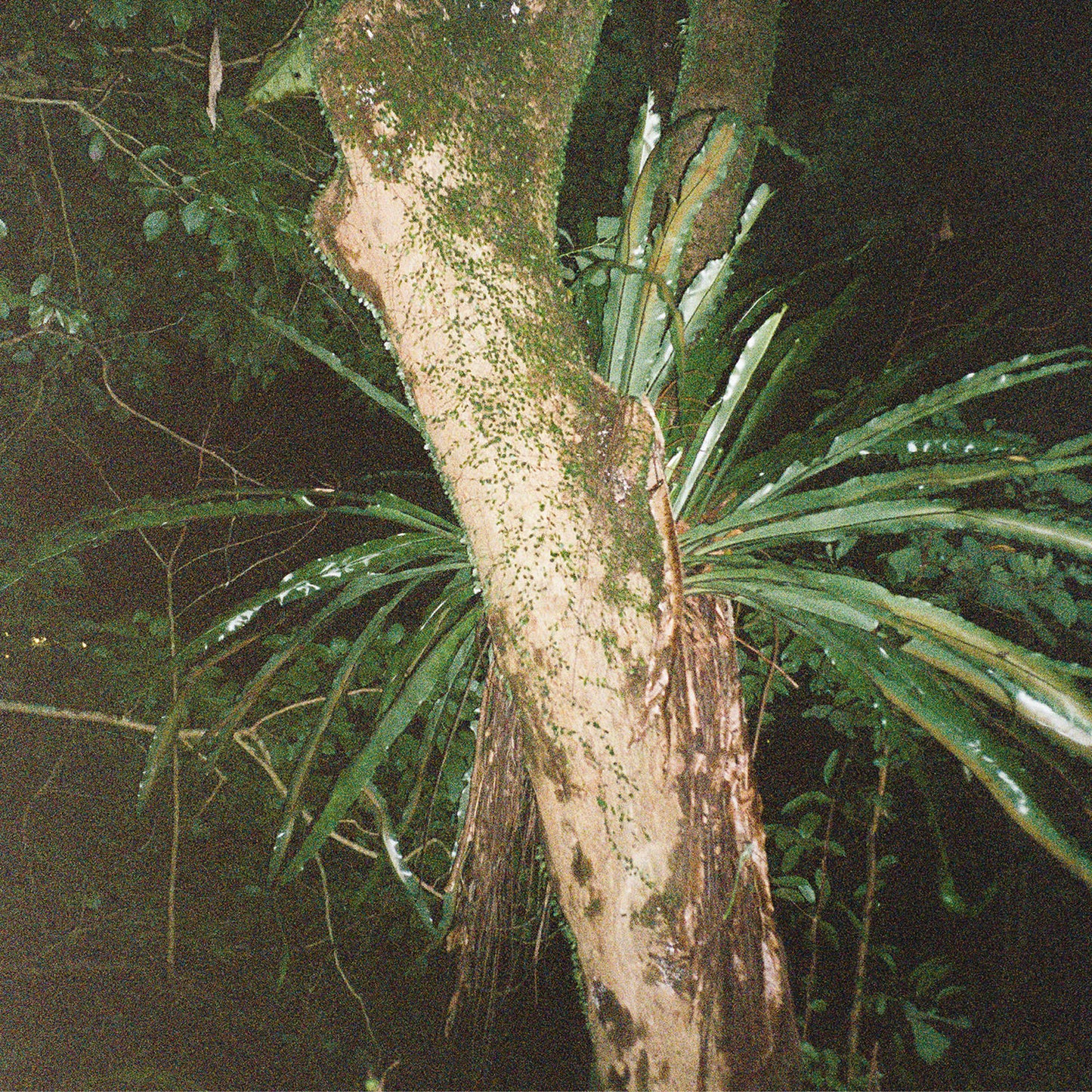 Artefakt & Maayan Nidam - Collaborations II