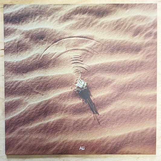 Ali (140) - White Stallion, Abyadh Aswad