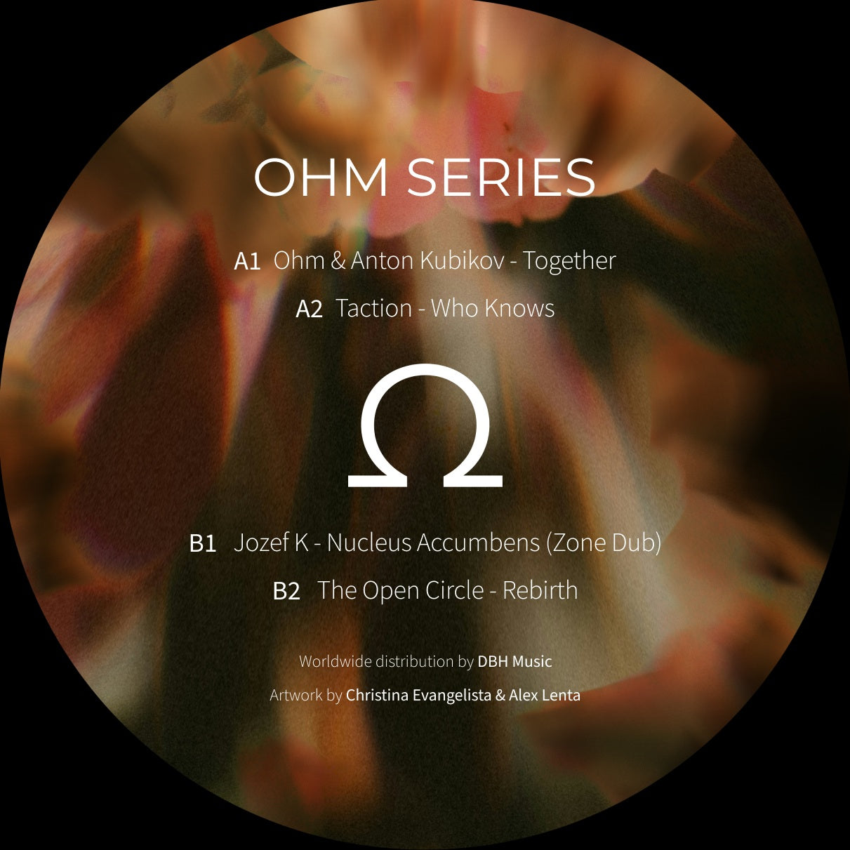 Various Artists - Ohm Series #16