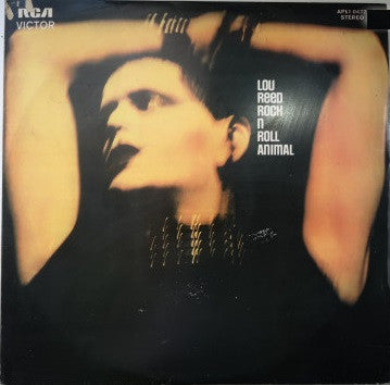 Lou Reed - Rock N Roll Animal