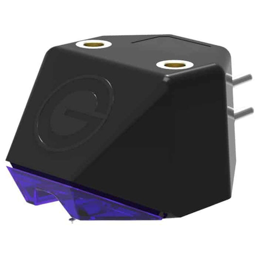 Goldring E3 head