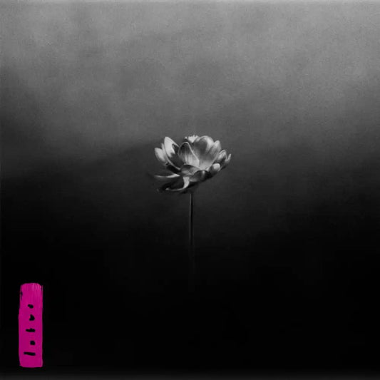 LITTLE SIMZ lotus 2xLP