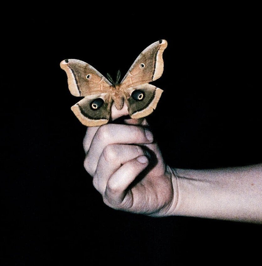 Soulwax - All Systems Are Lying 2LP